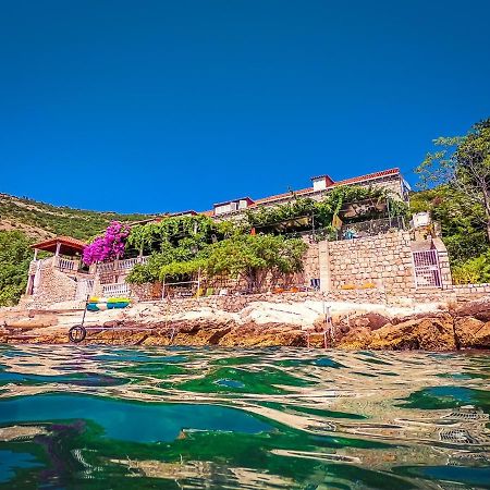 Sea Of Eden Apartment Dubrovnik Bagian luar foto