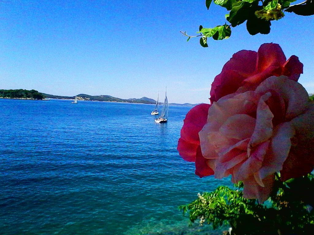 Sea Of Eden Apartment Dubrovnik Bagian luar foto